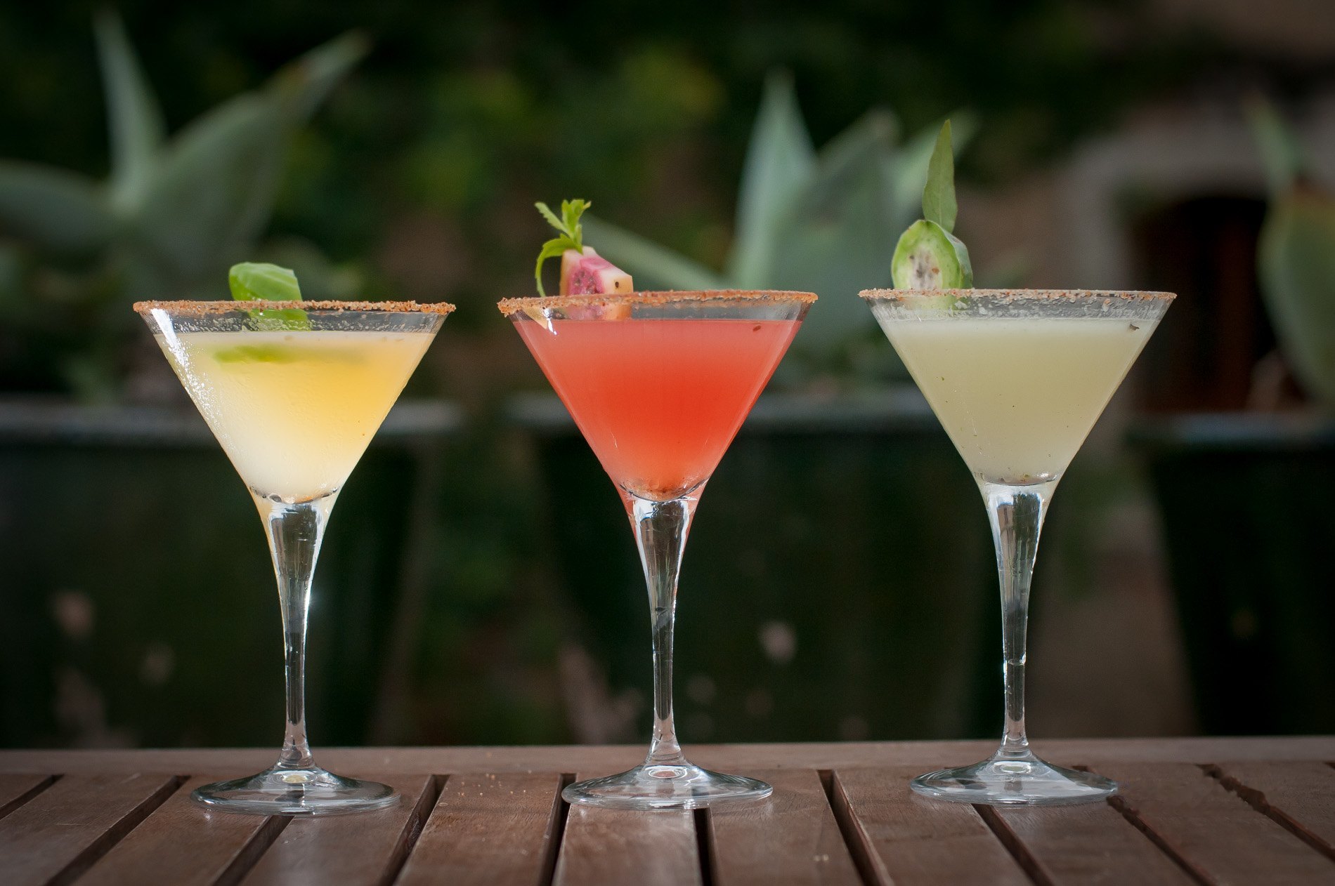 Three mezcal cocktails with salted rims in front of agave plants